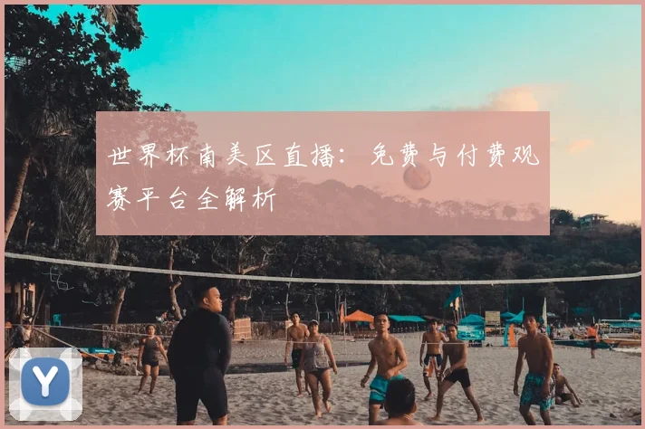 世界杯南美区直播：免费与付费观赛平台全解析