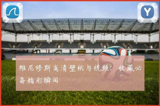 维尼修斯高清壁纸与视频：收藏必备精彩瞬间