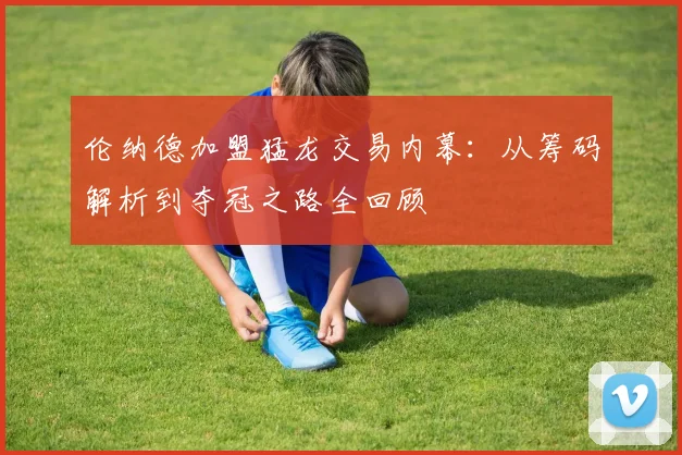 伦纳德加盟猛龙交易内幕：从筹码解析到夺冠之路全回顾