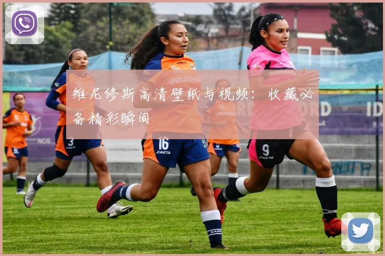 维尼修斯高清壁纸与视频：收藏必备精彩瞬间